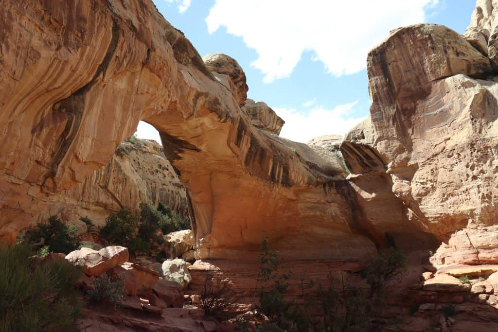 Hickman Bridge natural sandstone arch in Capitol Reef National Park, Utah, surrounded by red cliffs, desert vegetation, and blue sky.