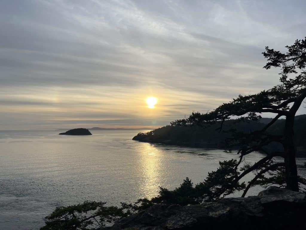 Sunset over Deception Pass in Washington with silhouetted evergreen tree, coastal cliffs, and small island on calm ocean water.