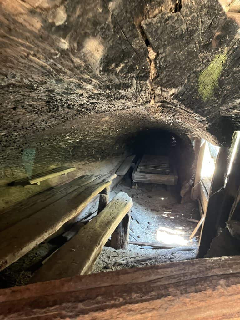 Interior of Tharp’s Log cabin inside a hollow giant sequoia tree in Sequoia National Park