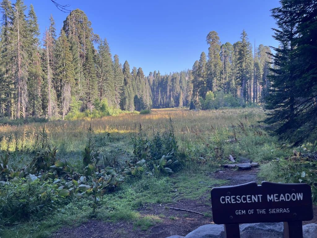Crescent Meadow in Sequoia National Park, known as the Gem of the Sierras, surrounded by towering giant sequoia trees