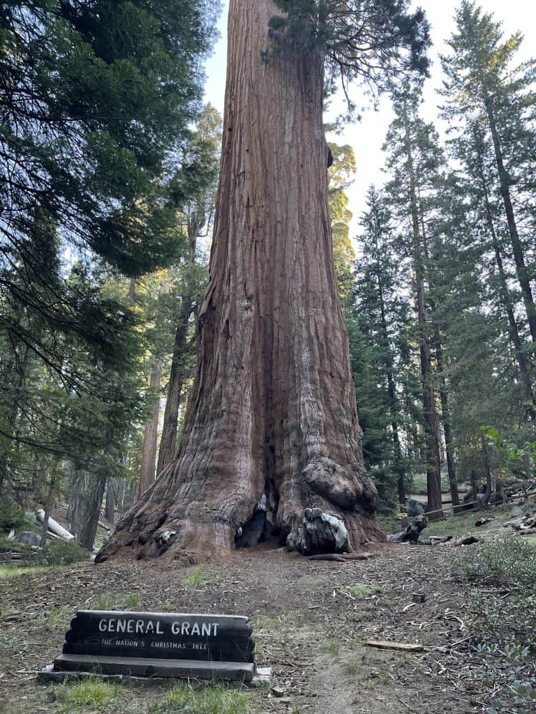 General Grant Tree, a giant sequoia known as the Nation’s Christmas Tree, in Grant Grove at Kings Canyon National Park.